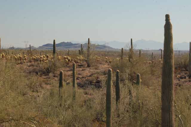 the surrounding terrain